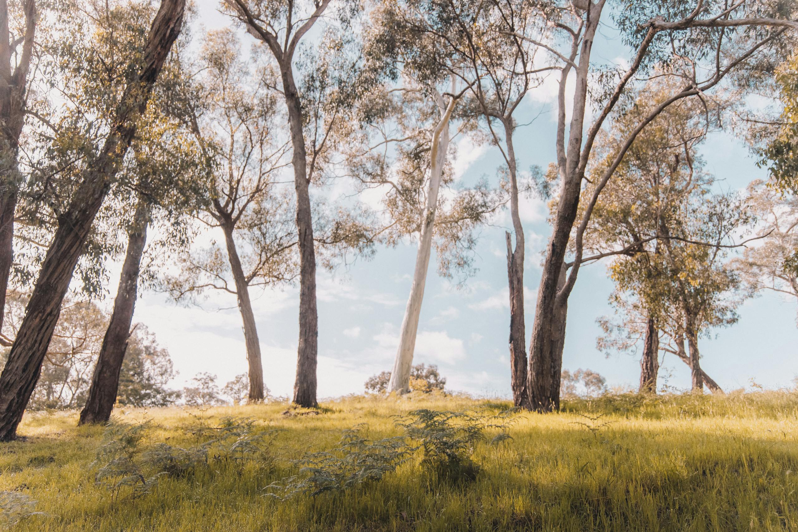 Burial Services in Geelong by Jonathan Hepner Funerals